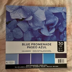 “Blue Promenade” 12x12 Smooth  Card Stock Scrapbook Paper - 5 Blue Floral Colors